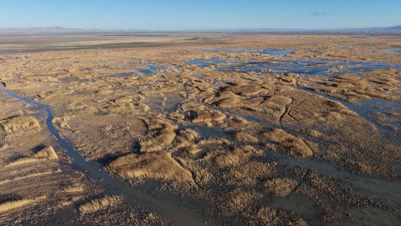 Konya’da kuraklığın vurduğu gölde yıllar sonra bir ilk yaşandı 1